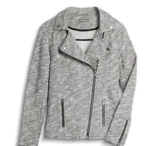 Market & Spruce Jackets & Coats - Market and spruce moto knit gray jacket Market & Spruce Jackets & Coats - Market and spruce moto knit gray jacket